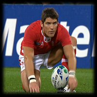 South Africa v Wales James Hook 